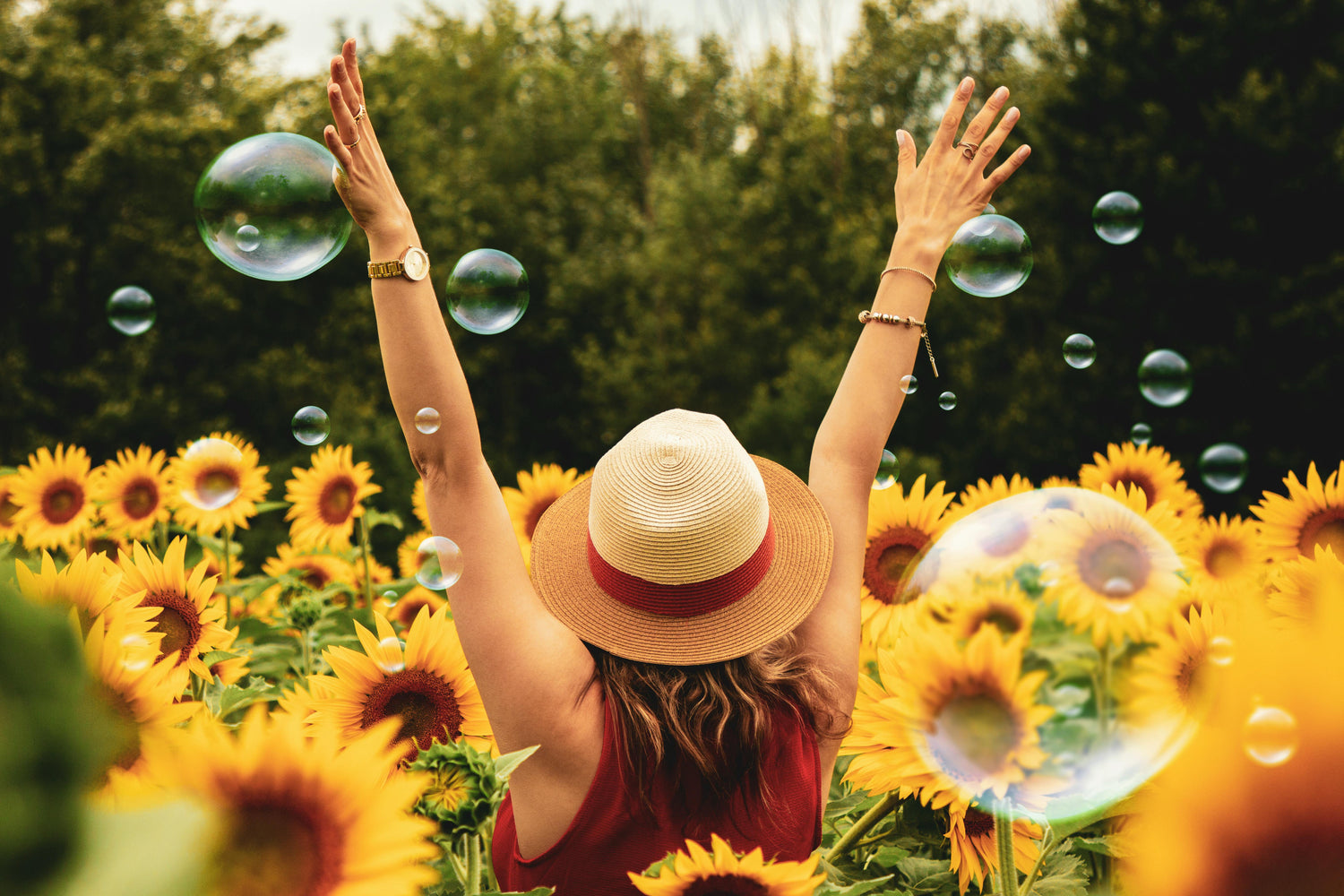 Lifestyle & Travel